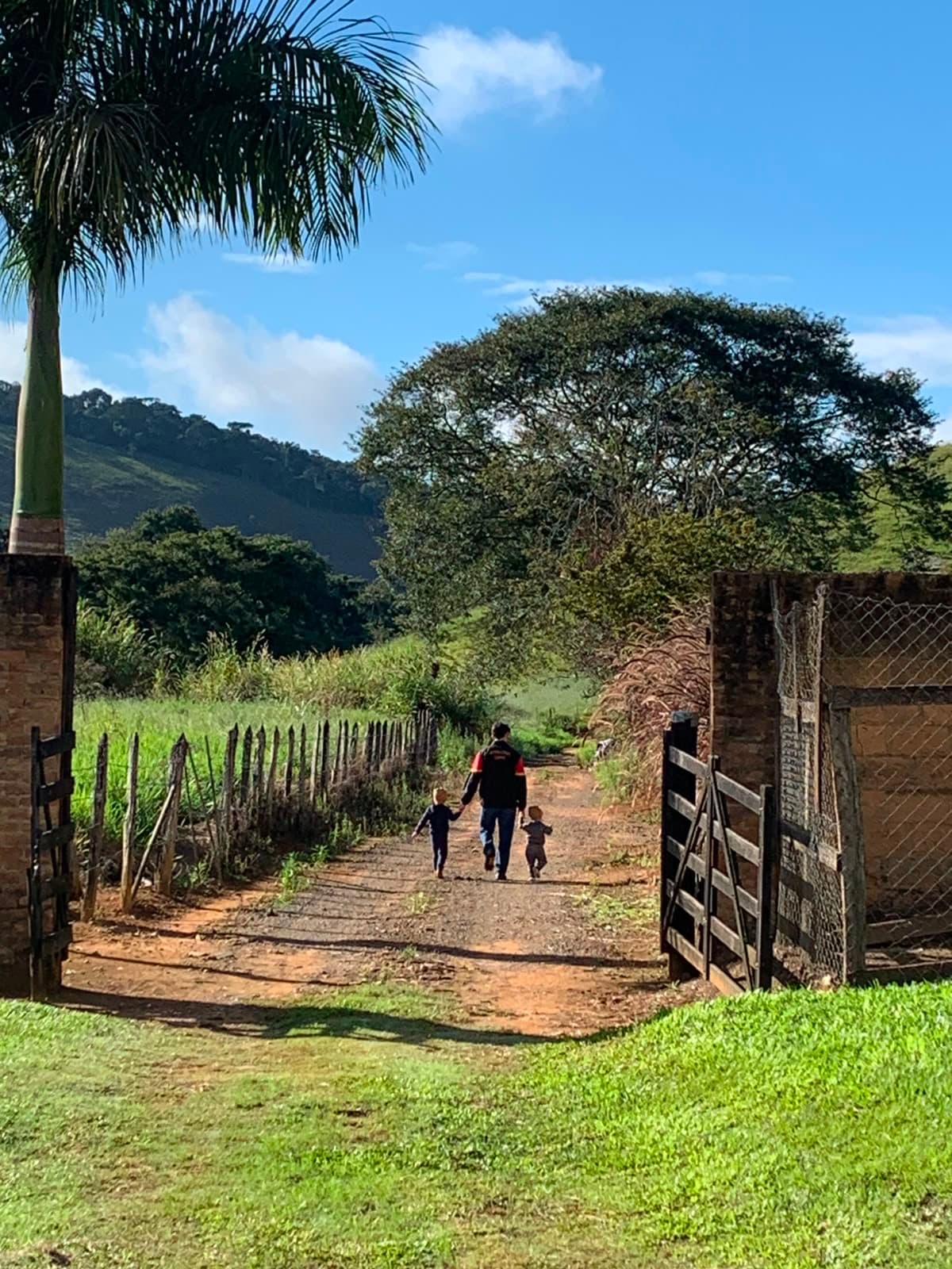 Ivo walking down a farm lane holding hands with Noah and Levi